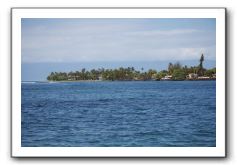 Maui-Reefdancer-303