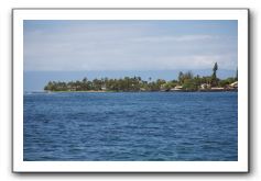 Maui-Reefdancer-304