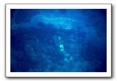 Maui-Reefdancer-074