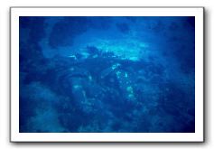 Maui-Reefdancer-076