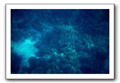 Maui-Reefdancer-079