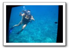 Maui-Reefdancer-087