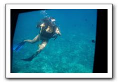 Maui-Reefdancer-088