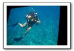 Maui-Reefdancer-089
