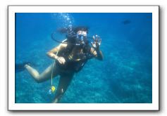 Maui-Reefdancer-090