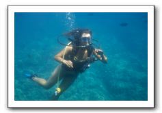 Maui-Reefdancer-091