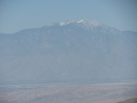 joshua-tree-april-2011