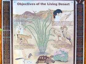 living-desert