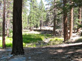 top-of-the-tram-2009