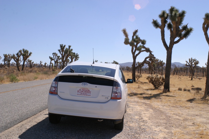 Prius-Joshua-Tree-0099.JPG