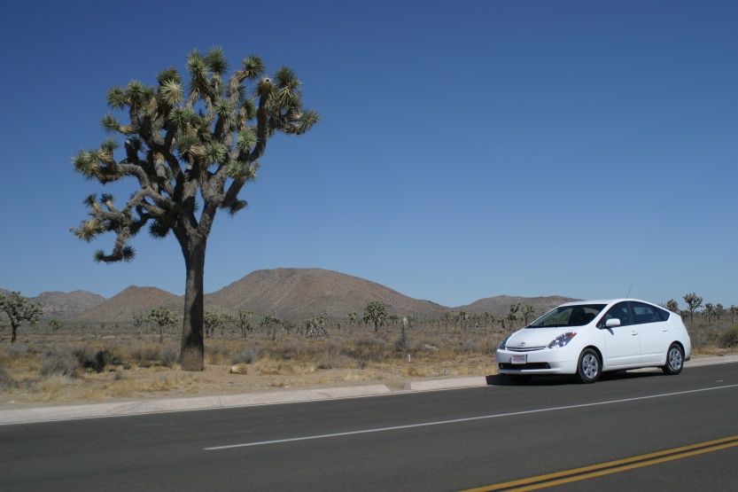 Prius-Joshua-Tree-0289.JPG