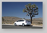 Prius-Joshua-Tree-0263.JPG