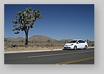 Prius-Joshua-Tree-0294.JPG