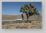 Prius-Joshua-Tree-0359.JPG