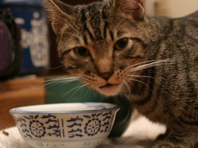 Sacramento-December-2005