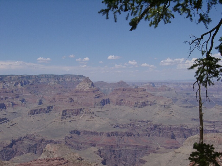 07230193.jpg