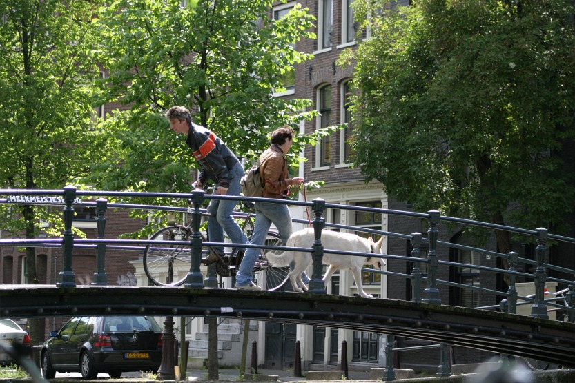 229_2902.JPG