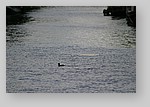 228_2886.JPG
