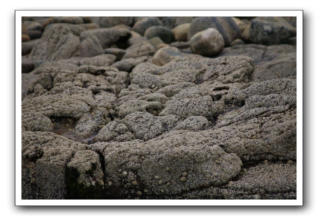 Abbeyburnfoot-Beach-Scotland-403