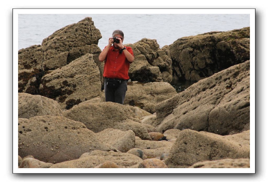 Abbeyburnfoot-Beach-Scotland-406