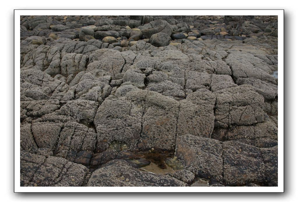 Abbeyburnfoot-Beach-Scotland-416