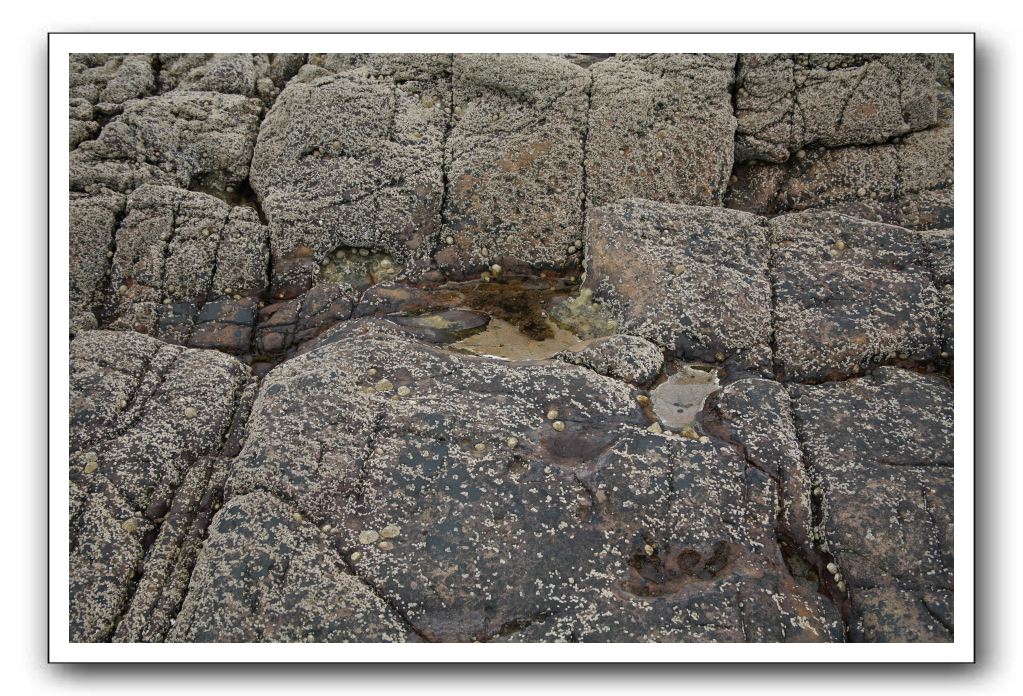 Abbeyburnfoot-Beach-Scotland-417