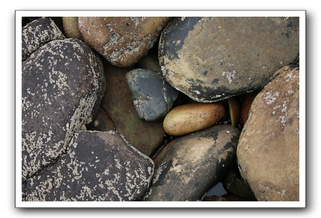 Abbeyburnfoot-Beach-Scotland-426