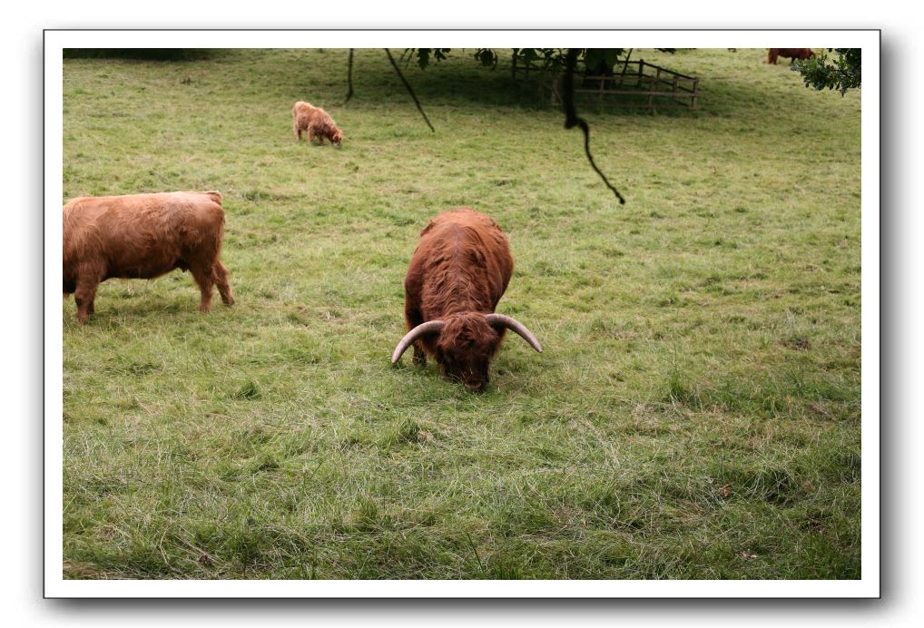 Burrell Collection, Pollok Park, Glasgow,  Scotland 254