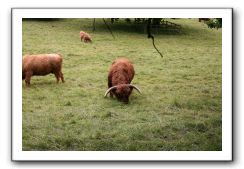 Burrell Collection, Pollok Park, Glasgow,  Scotland 254