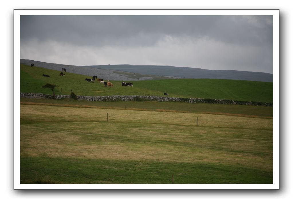 Castle-Dunguaire-Ballyvaughan-Cliffs-of-Moher-3086