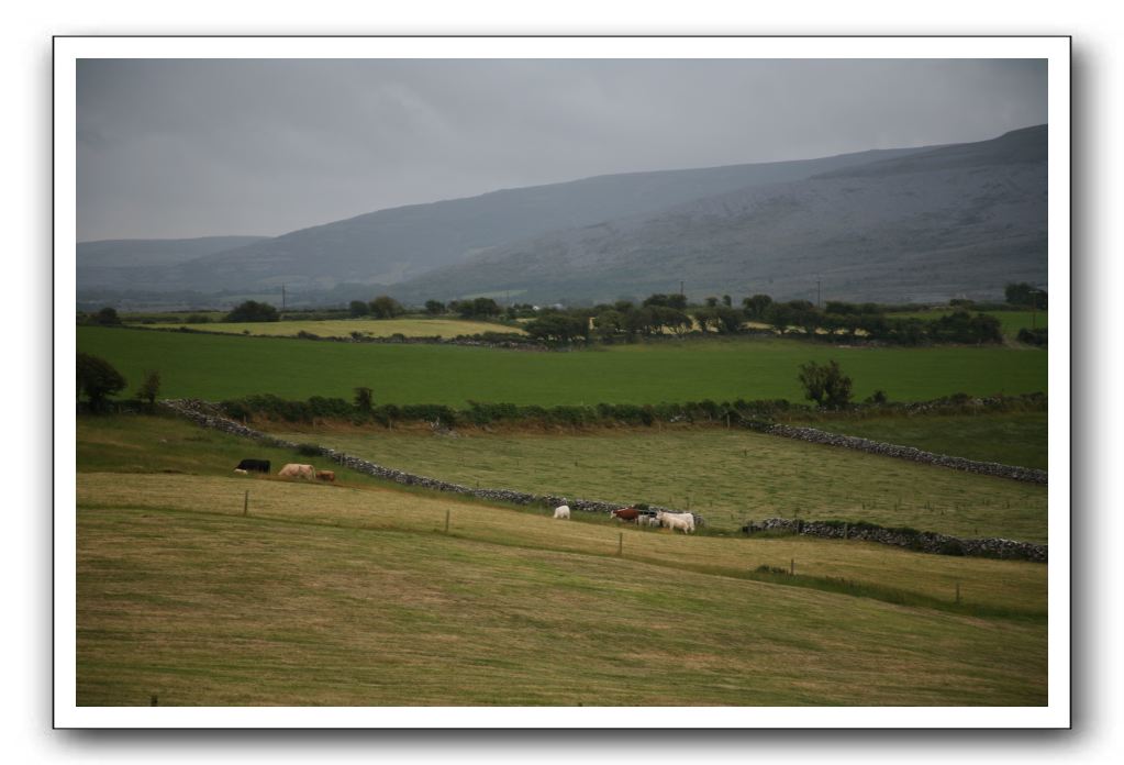 Castle-Dunguaire-Ballyvaughan-Cliffs-of-Moher-3096