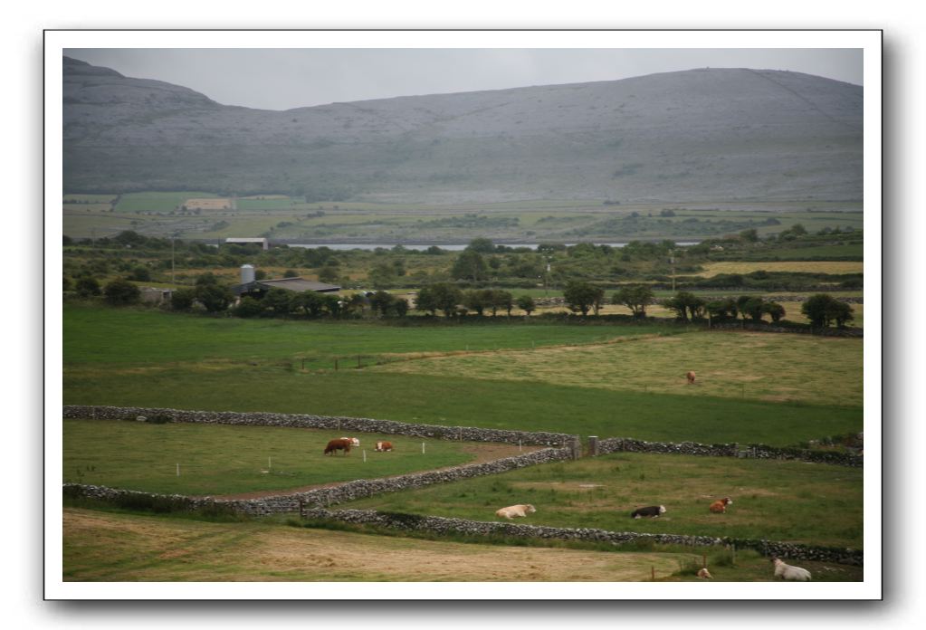 Castle-Dunguaire-Ballyvaughan-Cliffs-of-Moher-3101