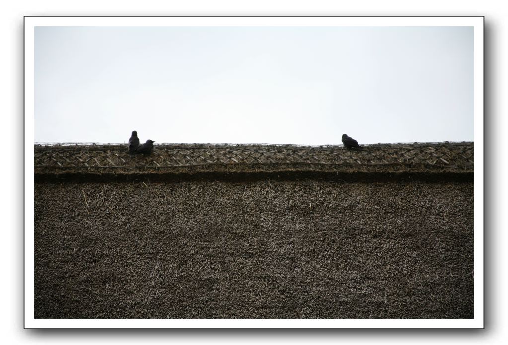 Castle-Dunguaire-Ballyvaughan-Cliffs-of-Moher-3134