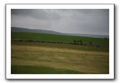 Castle-Dunguaire-Ballyvaughan-Cliffs-of-Moher-3089