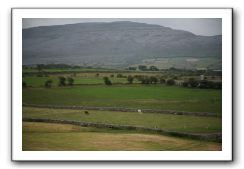 Castle-Dunguaire-Ballyvaughan-Cliffs-of-Moher-3099