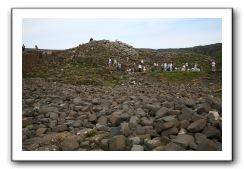 Giants-Causeway-Northern-Ireland-889