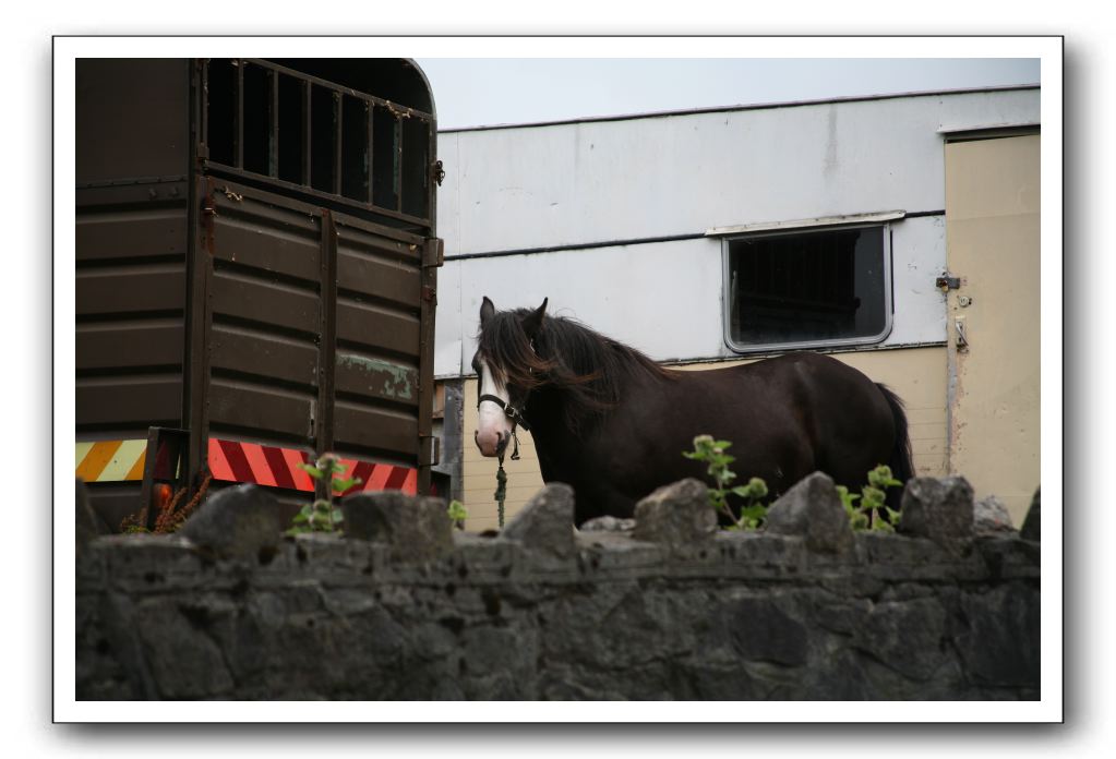 Limerick-Ireland-to-Larne-Northern-Ireland-361