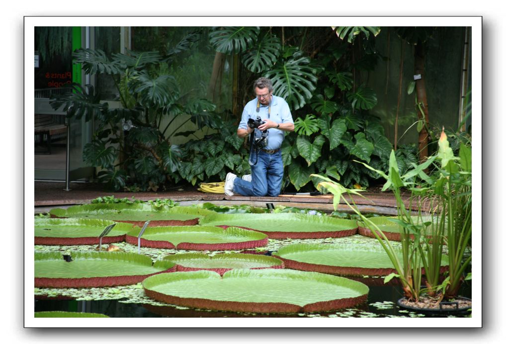 Royal Botanic Garden, Edinburgh,  Scotland 799