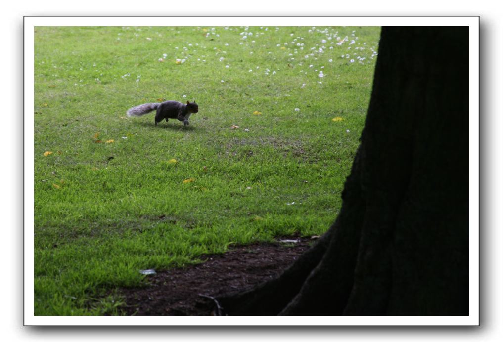 Royal Botanic Garden, Edinburgh,  Scotland 641