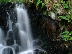 Waterfalls_and_Wet_Rocks