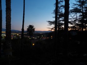 Tomatoes at Geek hill