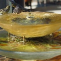 birdies-1263
