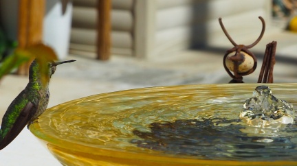 humbird-03-25-2023-batch3-1477