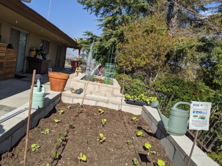 PXL 20210217 214741140