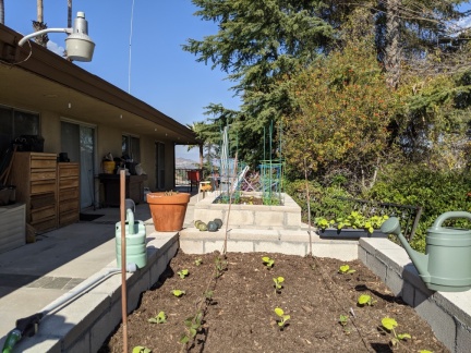 PXL 20210217 214747200