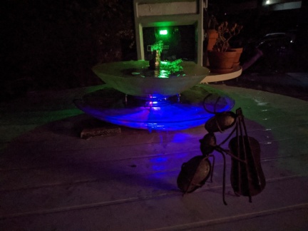 PXL 20210802 121458677