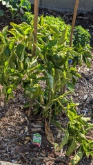 PXL 20230303 173333718