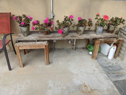 PXL 20220201 174322298