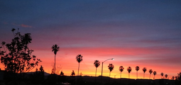 California Sunrise 01-28-2015-100