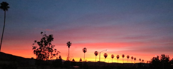 California Sunrise 01-28-2015-101